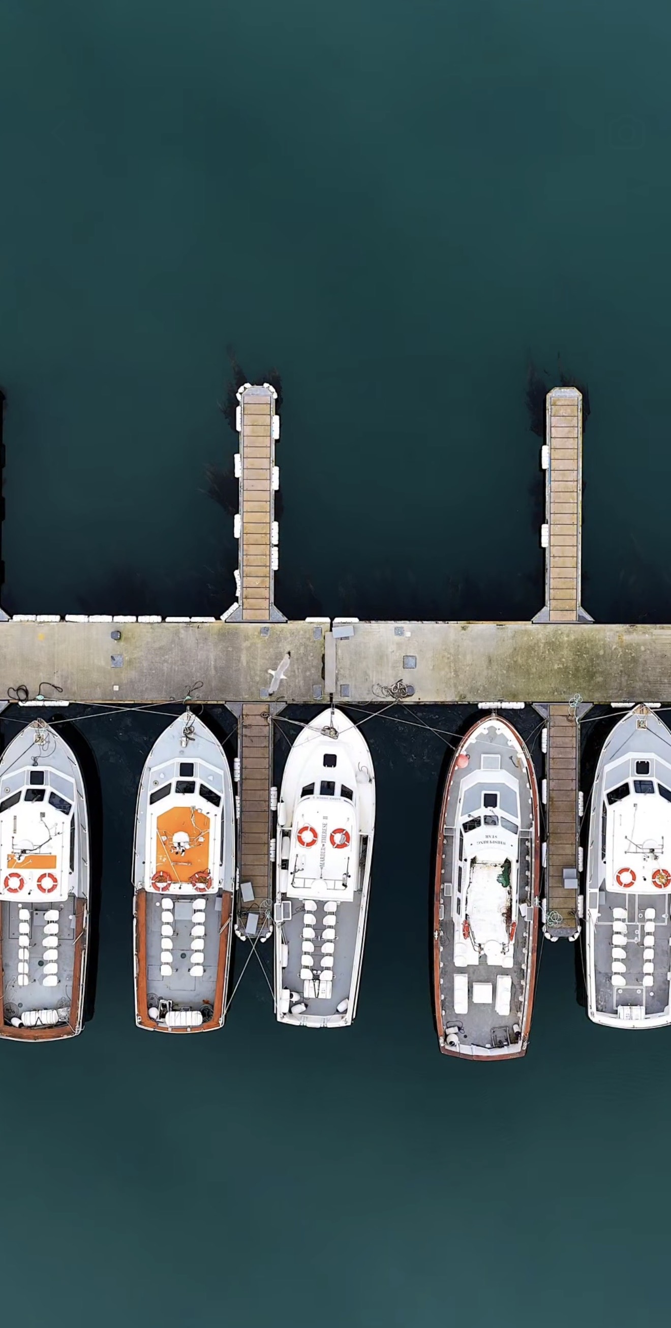 Portmagee harbour at dawn