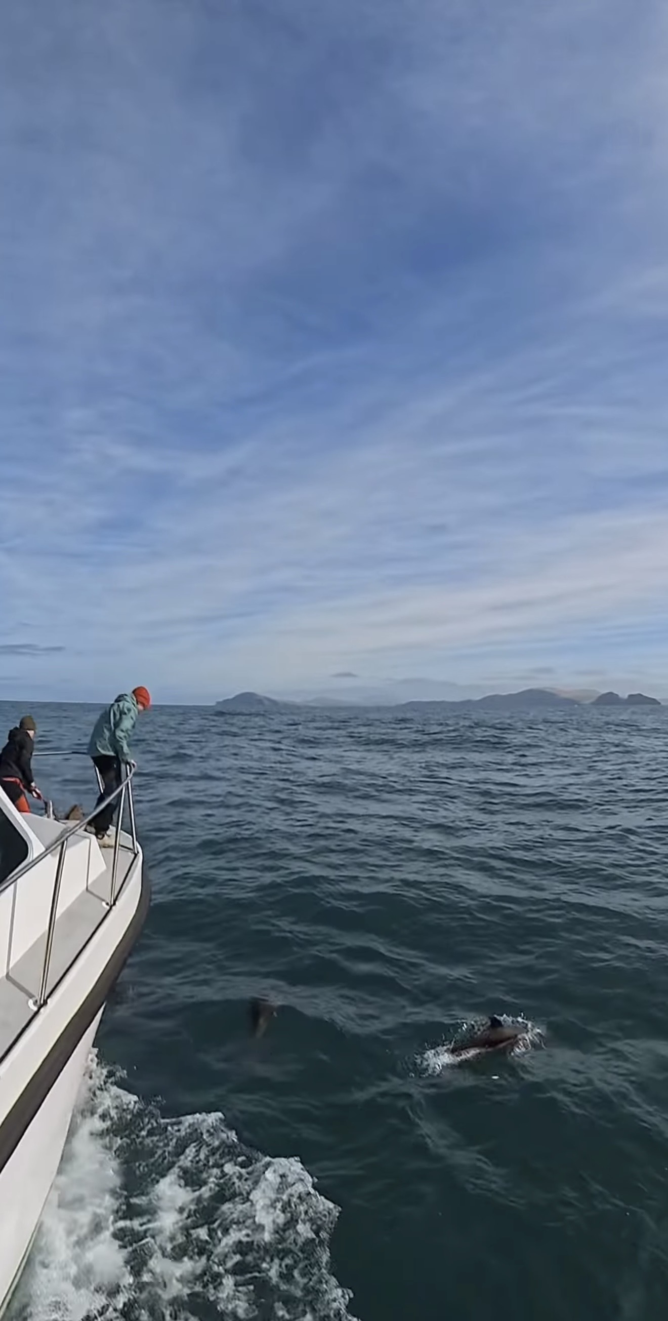Kerry at its finest